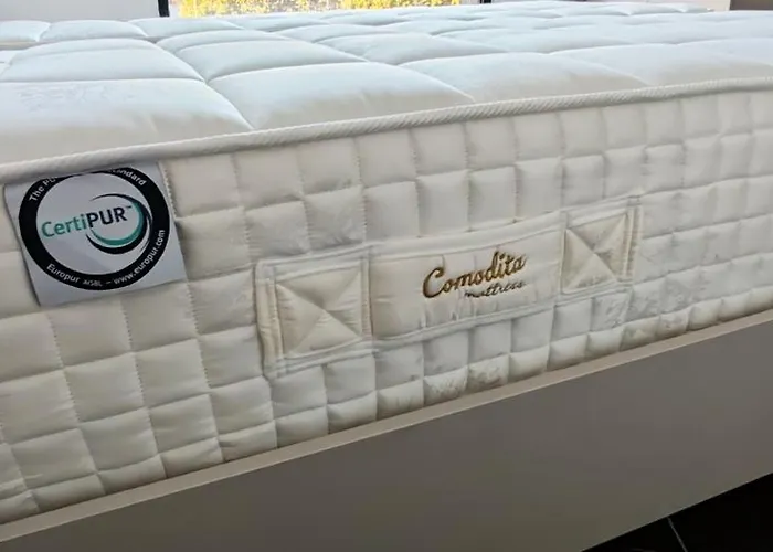 Vasil Gjika 2 * 地拉那